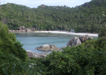 Природа в Сильвер-Бич, Тайланд – фотографии Таиланда