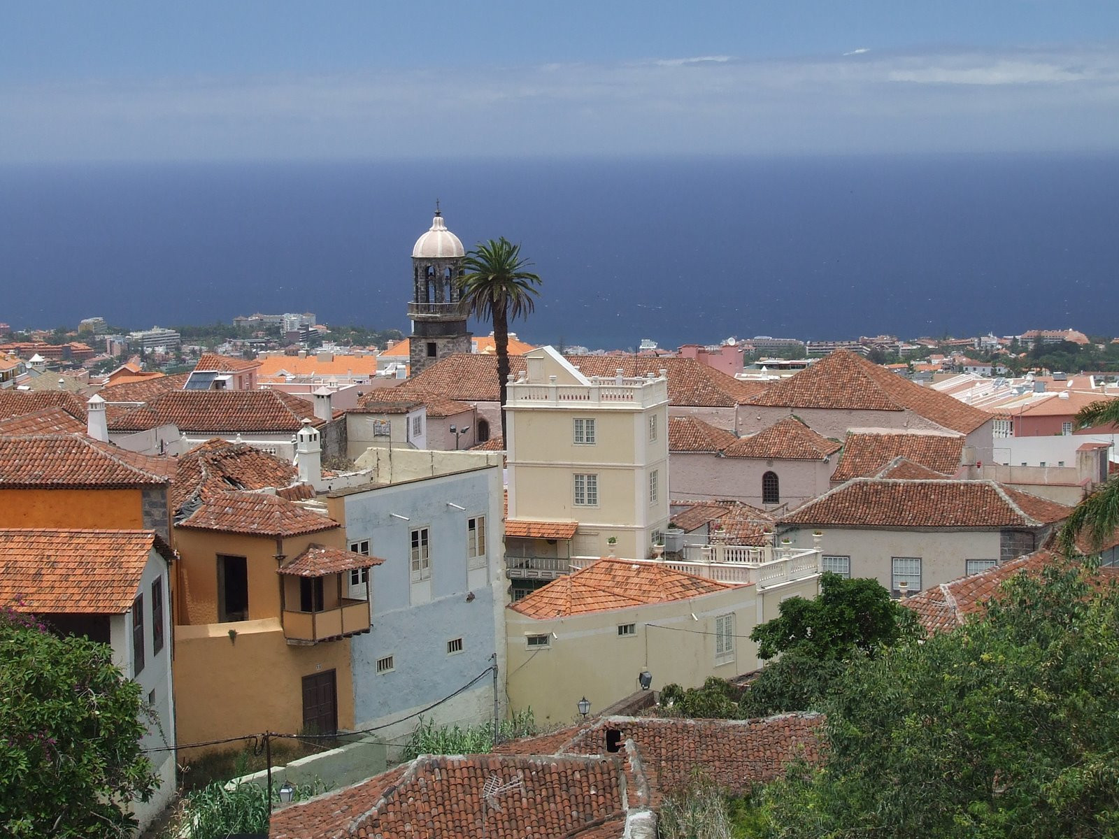 Ла-Оротава, Тенерифе остров, Канарские острова, фото № 33316 – фотографии Канарских островов