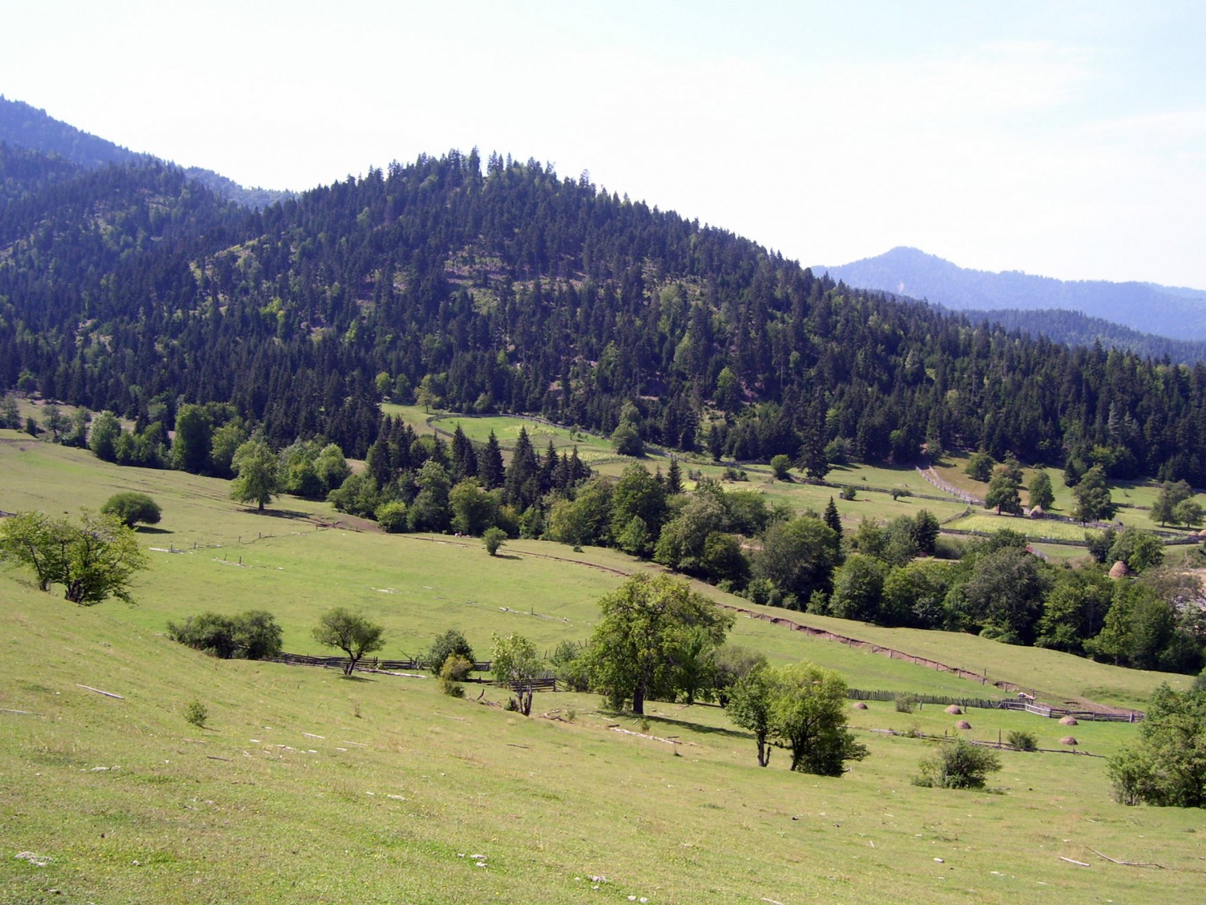 Грузия, фото № 4325 – фотографии Грузии