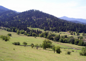 Грузия, фото № 4325 – фотографии Грузии