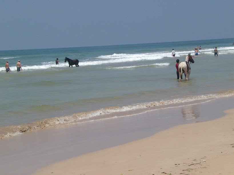 Бентота, Шри-Ланка, фото № 50605 – фотографии Шри-Ланки