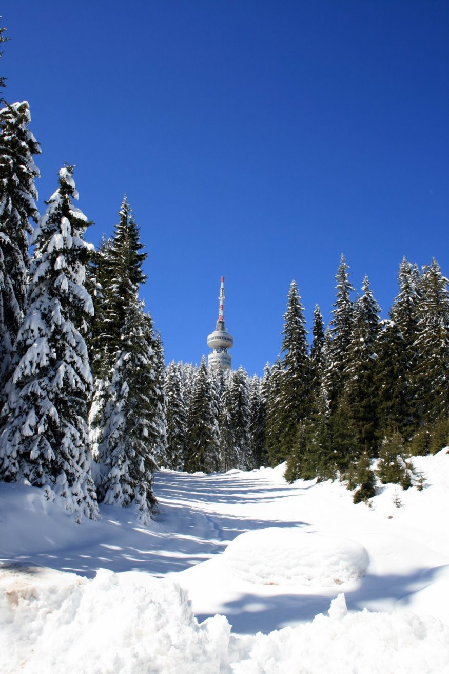 Природа в Пампорово, Болгария. Фото 3 – фотографии Болгарии