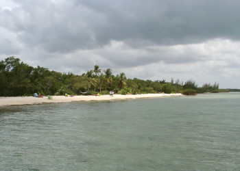 Пляж на острове Андрос, Багамские острова. Фото 9 – фотографии Багамских островов