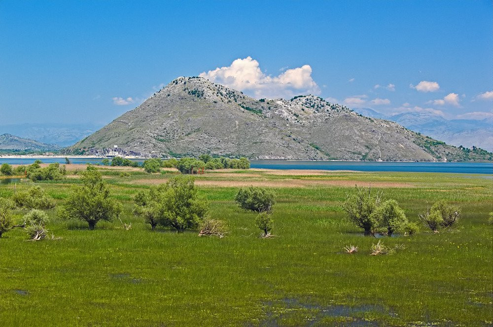 Природа Национального парка, Черногория. Фото 12 – фотографии Черногории