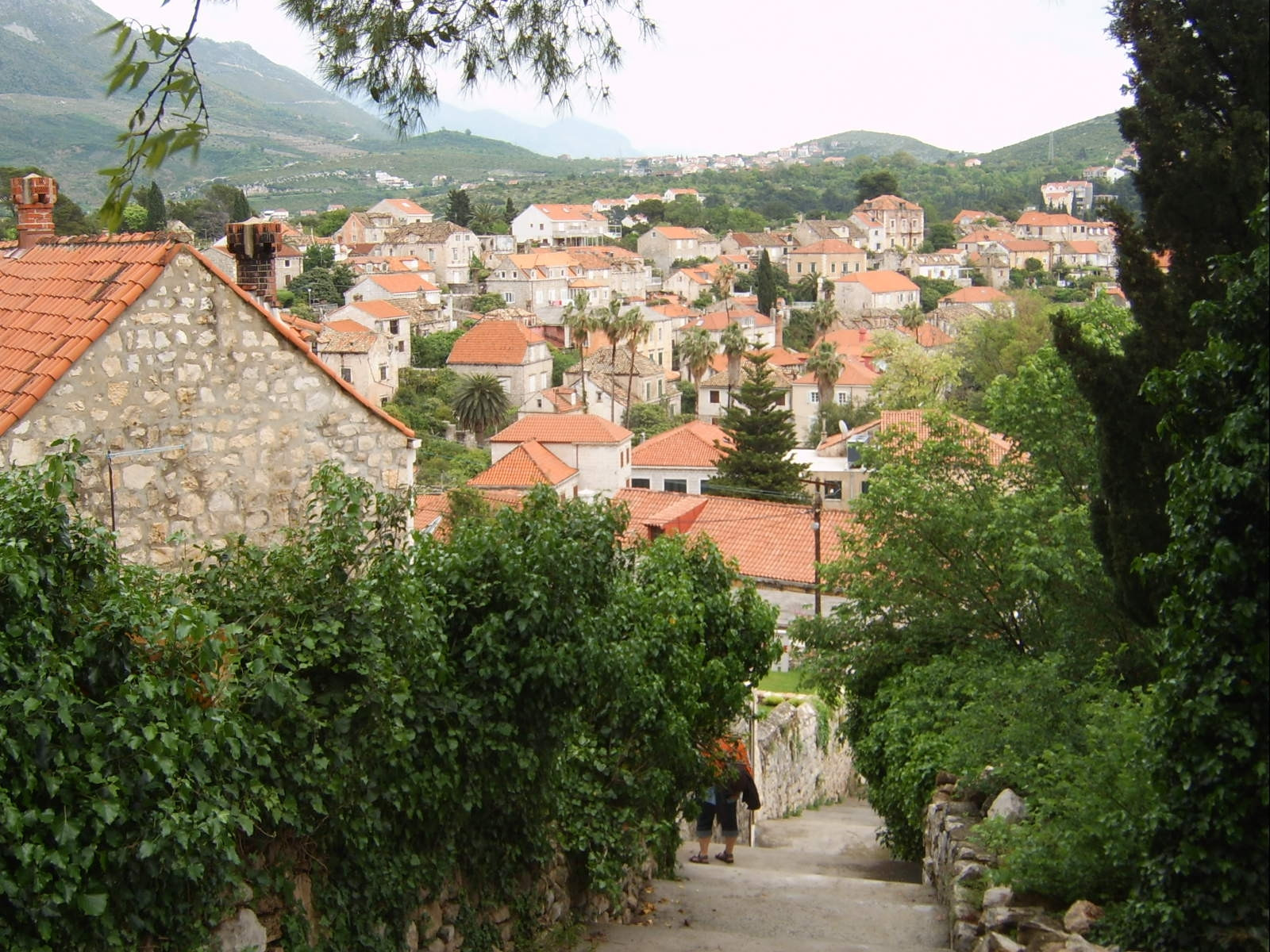 Улица в Цавтате, Хорватия. Фото 5 – фотографии Хорватии