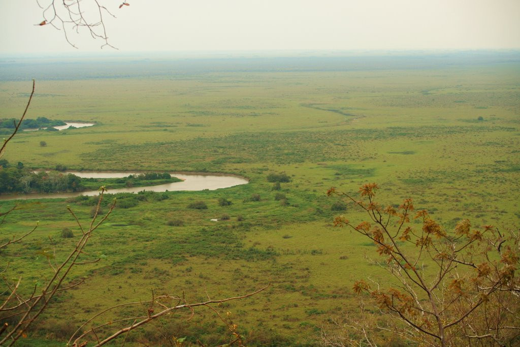 Пантанал, Бразилия, фото № 59759 – фотографии Бразилии
