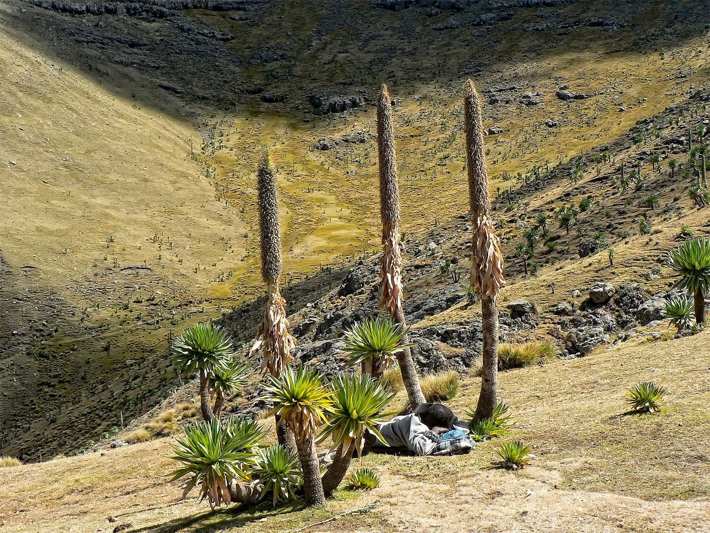 Нагорье – фотографии Эфиопии