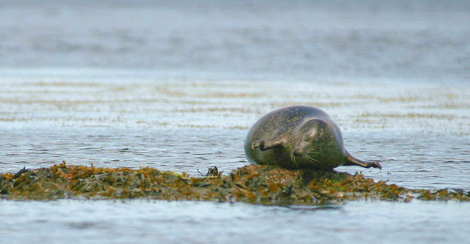 Ирландия, фото № 2572 – фотографии Ирландии