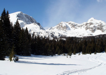 Зима в Дурмитор, Черногория. Фото 6 – фотографии Черногории