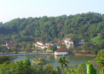 Озеро в Канди – фотографии Шри-Ланки