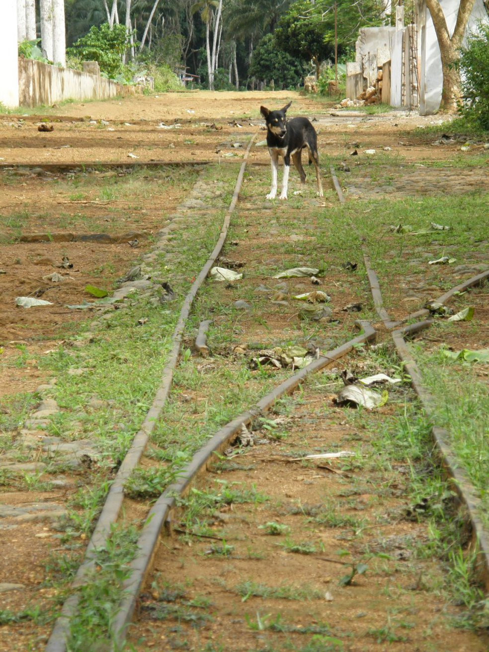 Принсипи остров, Сан-Томе и Принсипи, фото № 58545 – фотографии Сан-Томе и Принсипи