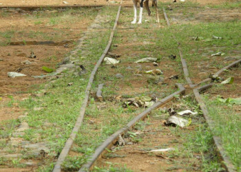 Принсипи остров, Сан-Томе и Принсипи, фото № 58545 – фотографии Сан-Томе и Принсипи