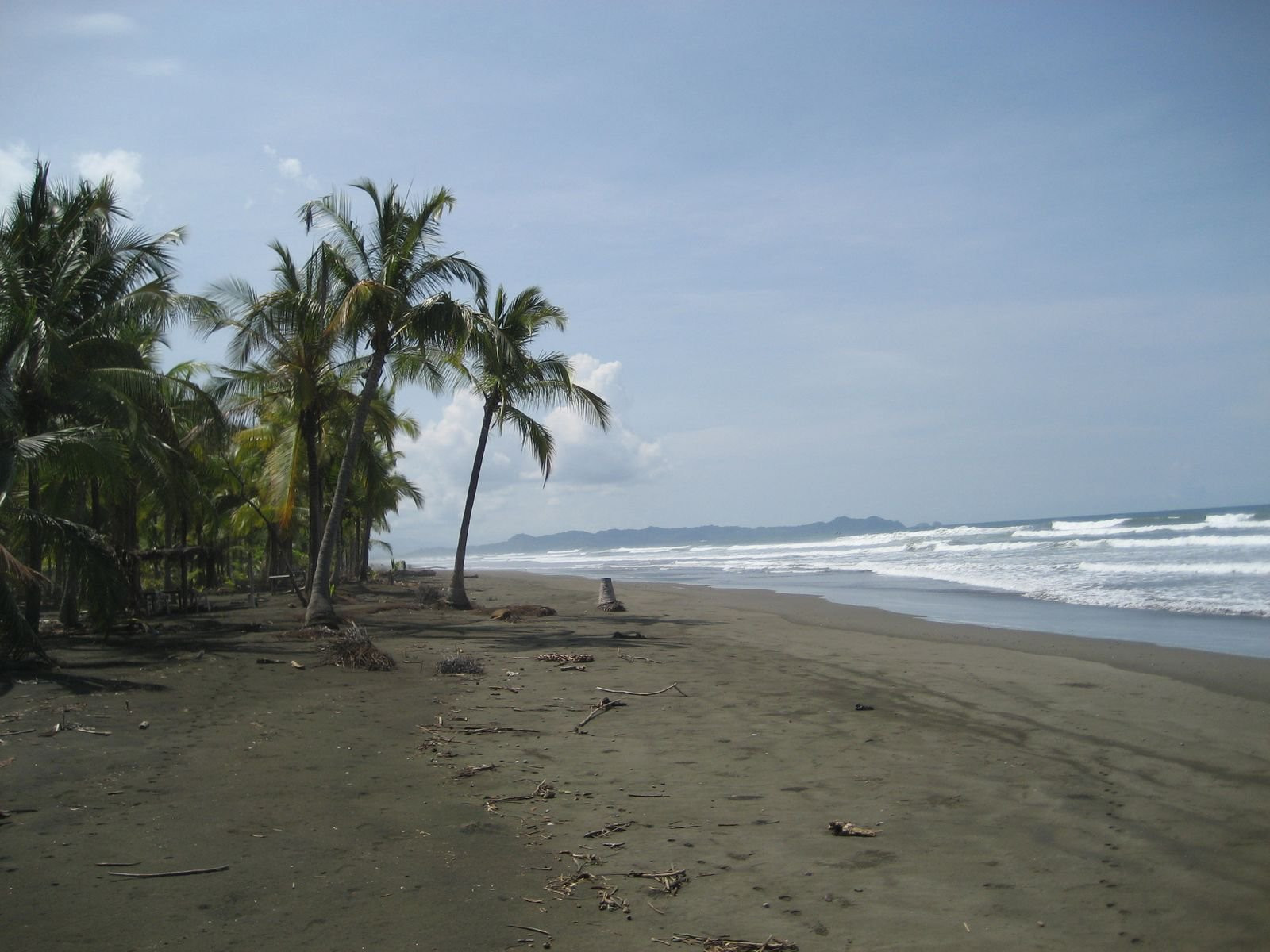 Куэпос, Пунтаренас провинция, Коста-Рика, фото № 40558 – фотографии Коста-Рики