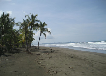 Куэпос, Пунтаренас провинция, Коста-Рика, фото № 40558 – фотографии Коста-Рики