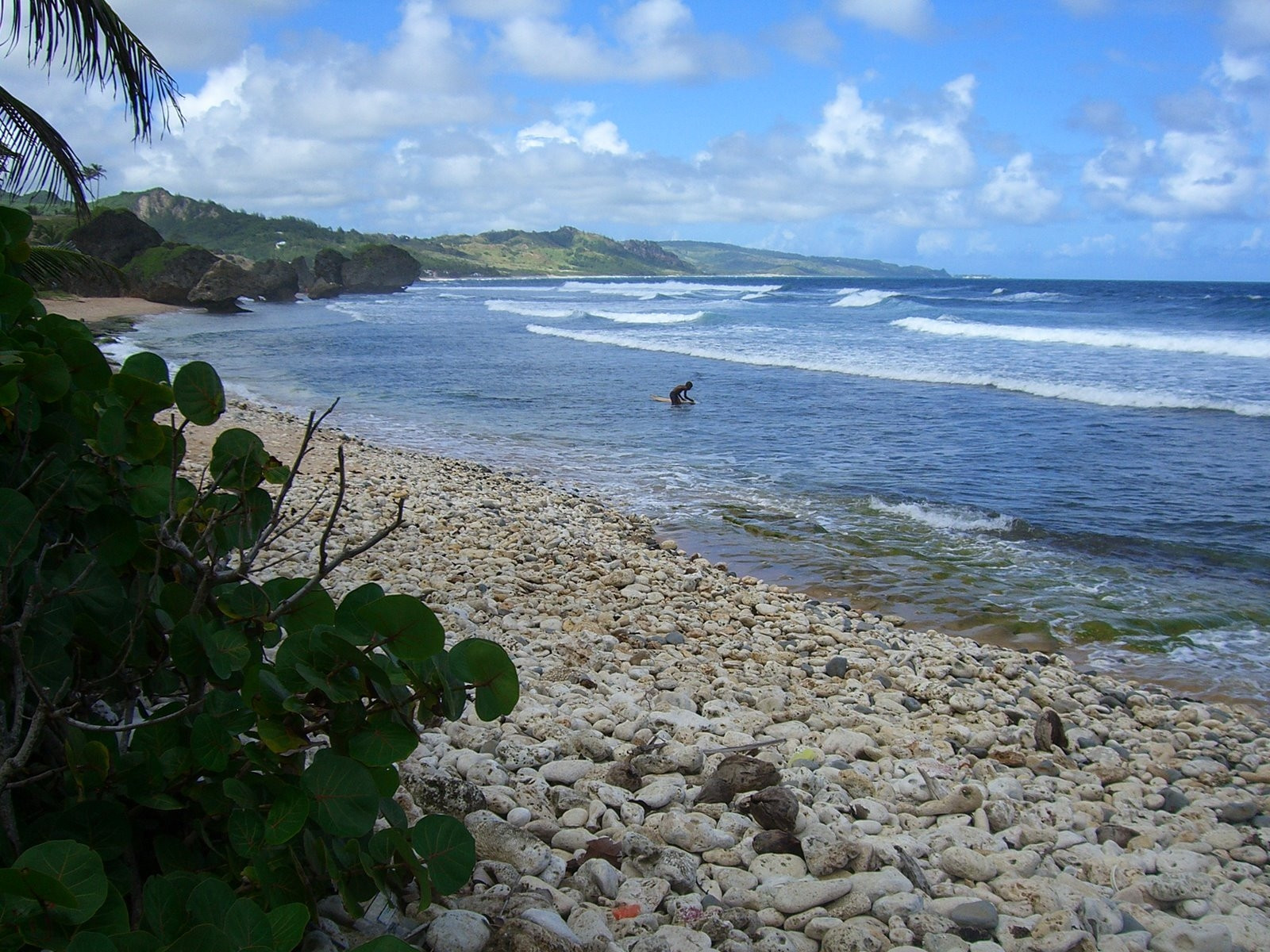 Море в Батшиба, Барбадос. Фото 8 – фотографии Барбадоса