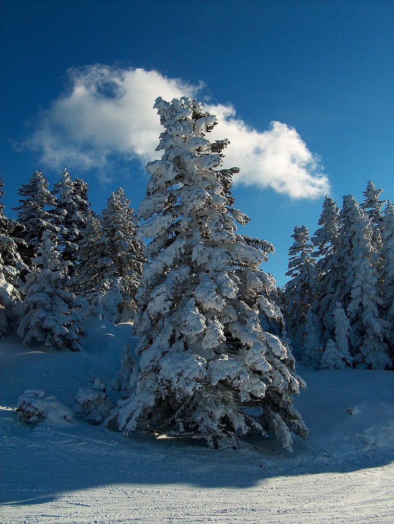 Улудаг, Мармара регион, Турция, фото № 46748 – фотографии Турции