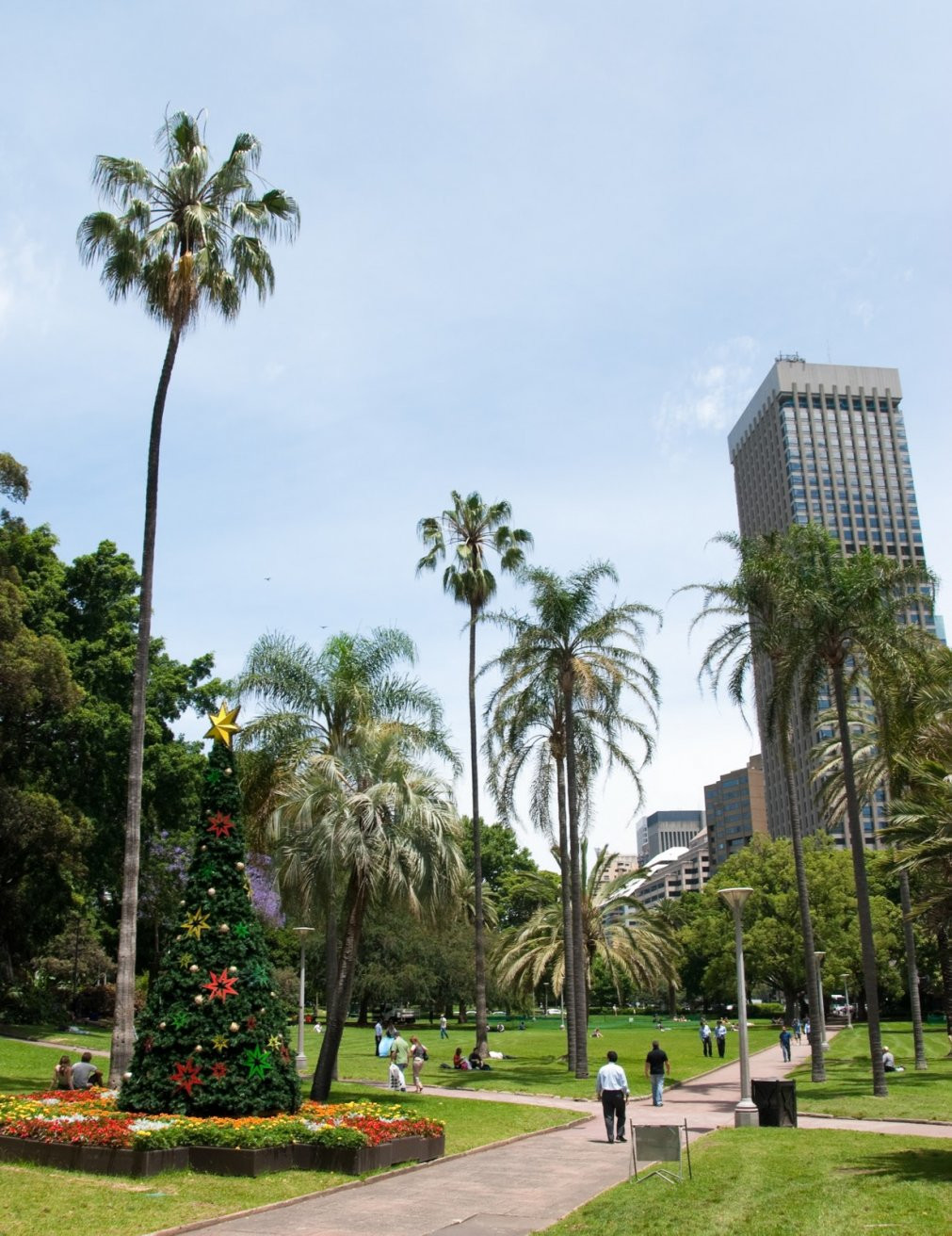 Парк в Сиднеи, Австралия. Фото 1 – фотографии Австралии