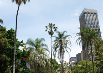 Парк в Сиднеи, Австралия. Фото 1 – фотографии Австралии