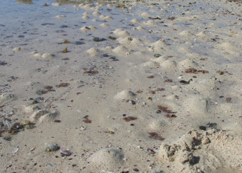 Сафага, Египет, фото № 35368 – фотографии Египта