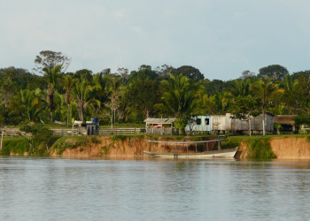 Амазонас штат, Бразилия, фото № 58804 – фотографии Бразилии