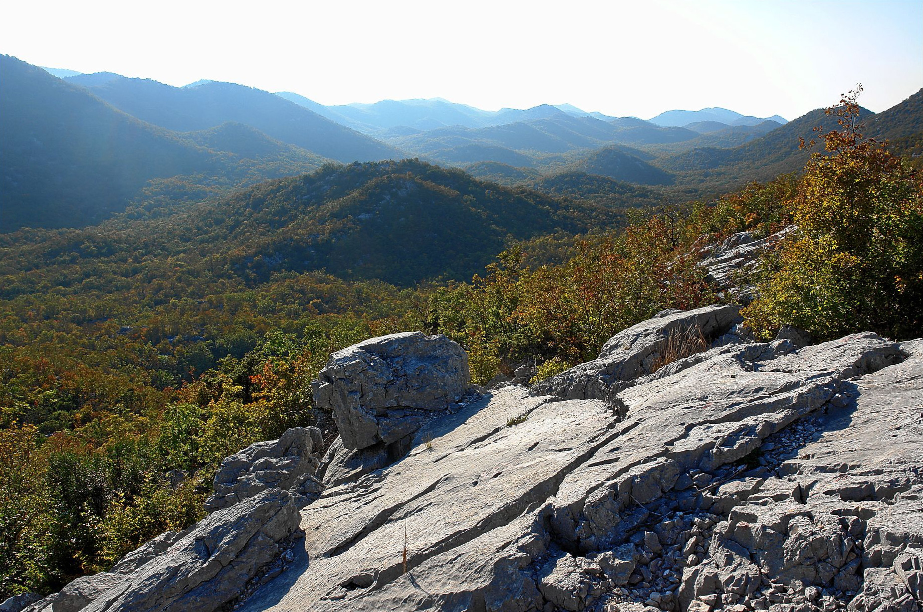 Природа в Биоково, Хорватия. Фото 5 – фотографии Хорватии