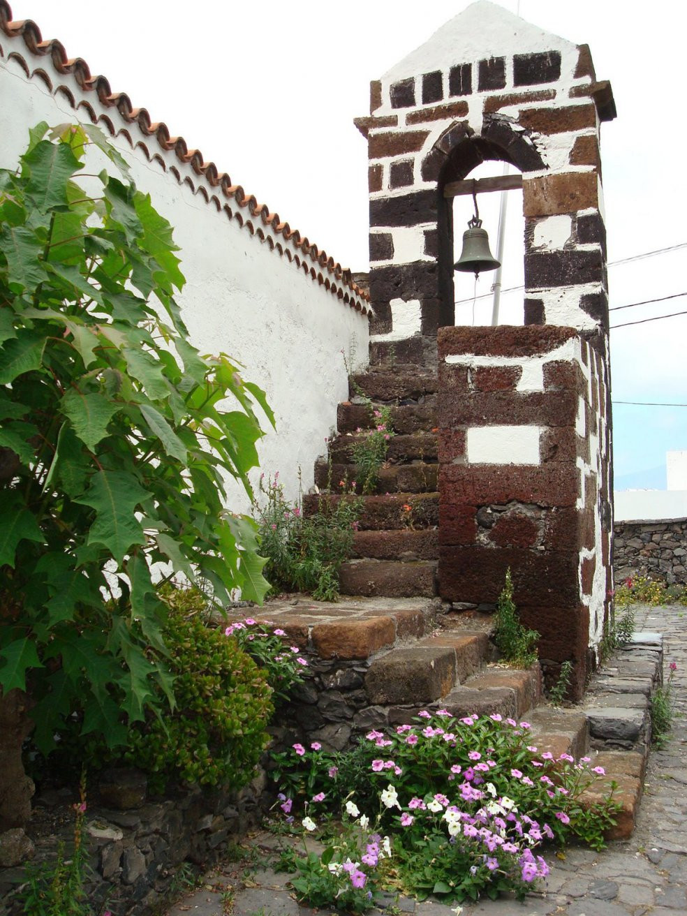 Сабиноса, Эль-Йерро остров, Канарские острова, фото № 34726 – фотографии Канарских островов