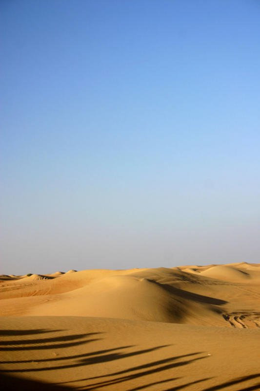 Дубай, ОАЭ, фото № 60825 – фотографии ОАЭ