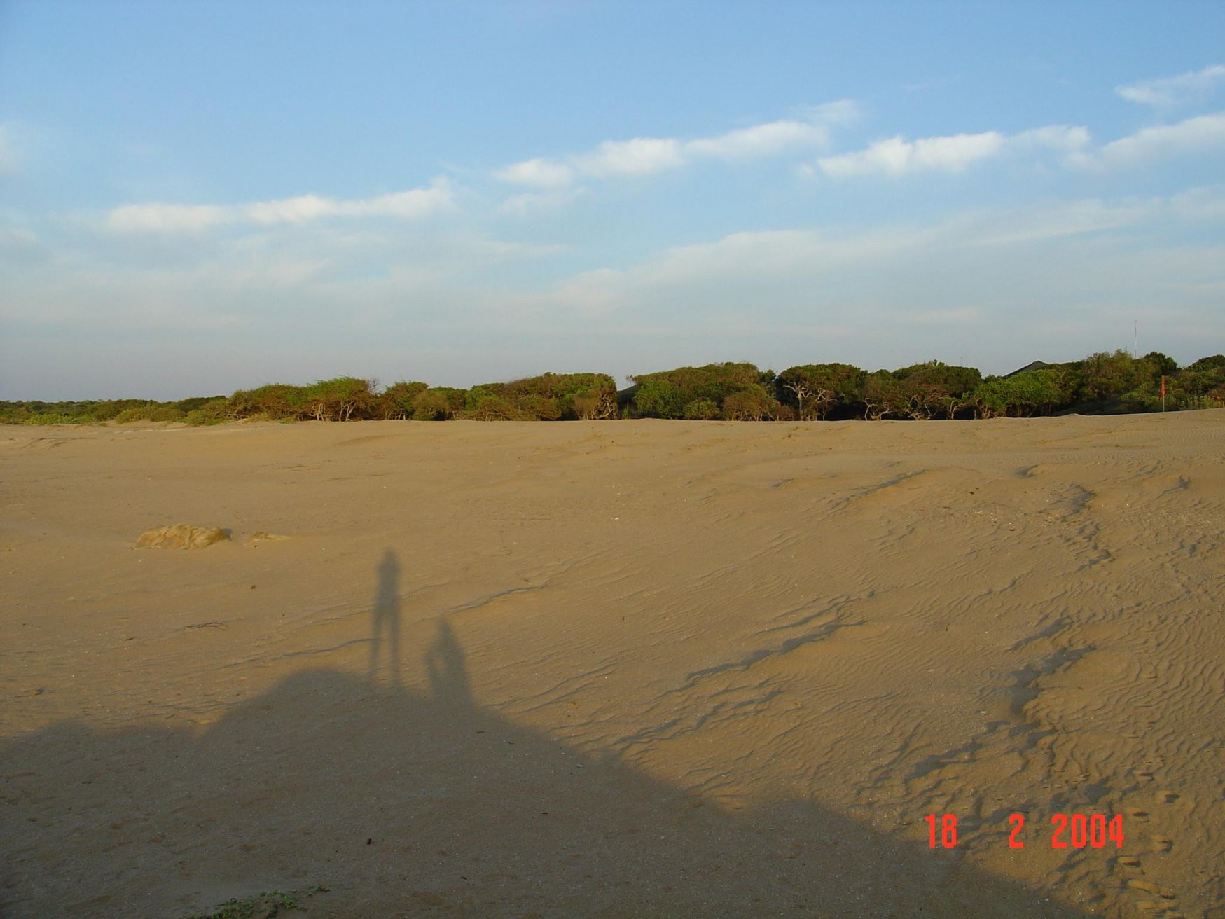 Яла Национальный Парк, Шри-Ланка, фото № 52632 – фотографии Шри-Ланки