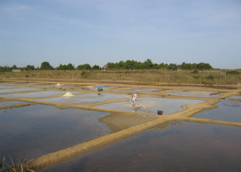 Остров Олерон, Франция. Фото 11 – фотографии Франции