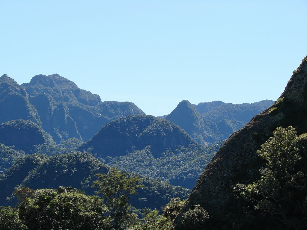 Национальный парк Амборо – фотографии Боливии