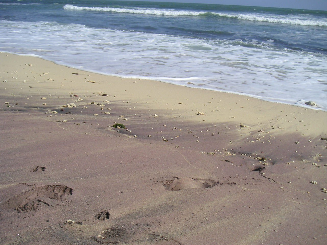 Матара, Шри-Ланка, фото № 51720 – фотографии Шри-Ланки