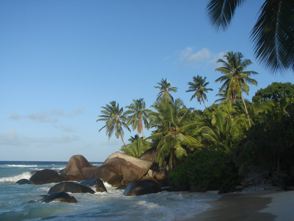 Пальмы на острове Силуэт, Сейшелы – фотографии Сейшельских островов