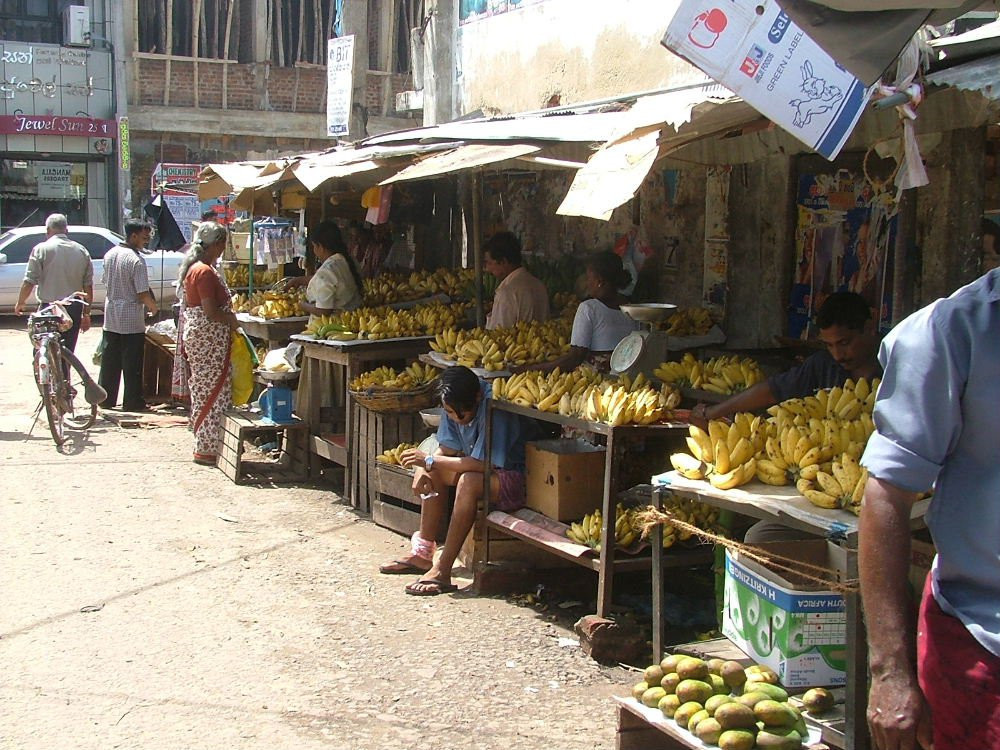 Негомбо, Шри-Ланка, фото № 51928 – фотографии Шри-Ланки