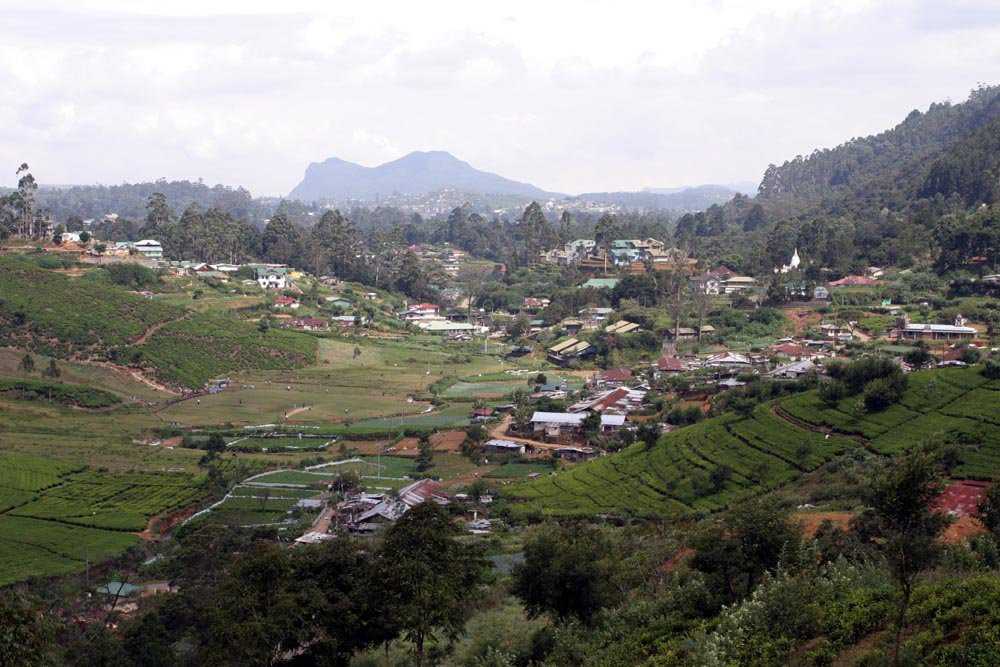 Нувара Элия, Шри-Ланка, фото № 52039 – фотографии Шри-Ланки