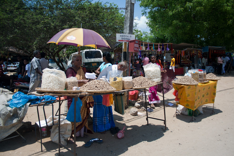 Джафна (Jaffna), Шри-Ланка. Фото 2 – фотографии Шри-Ланки