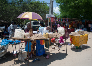 Джафна (Jaffna), Шри-Ланка. Фото 2 – фотографии Шри-Ланки
