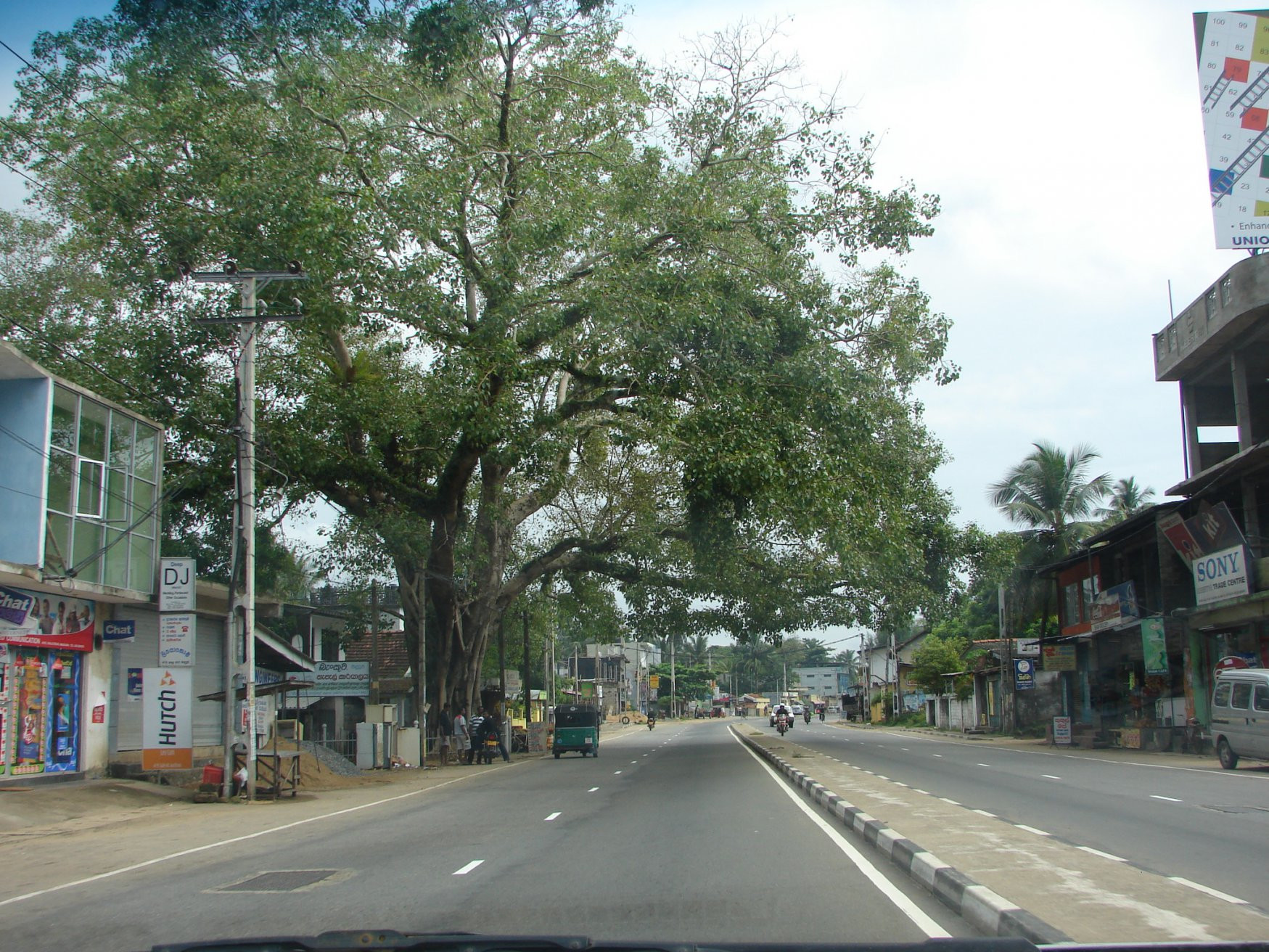 Ваддува, Шри-Ланка, фото № 50776 – фотографии Шри-Ланки