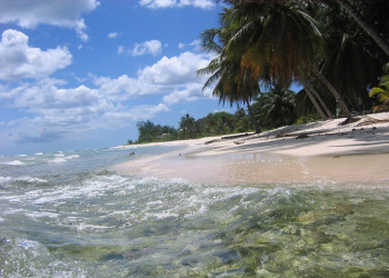 Экзотический пляж на южном побережье, Барбадос – фотографии Барбадоса