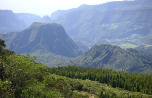 Салази, Реюньон, фото № 25839 – фотографии Реюньона
