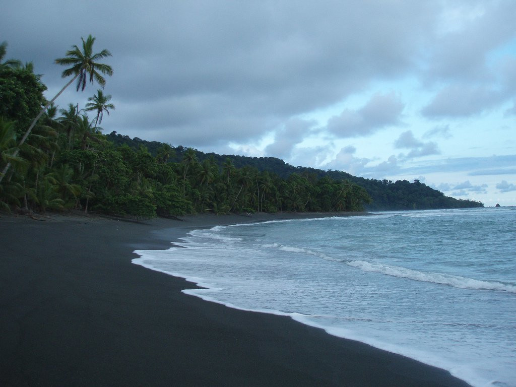 Корковадо Национальный Парк, Пунтаренас провинция, Коста-Рика, фото № 40507 – фотографии Коста-Рики