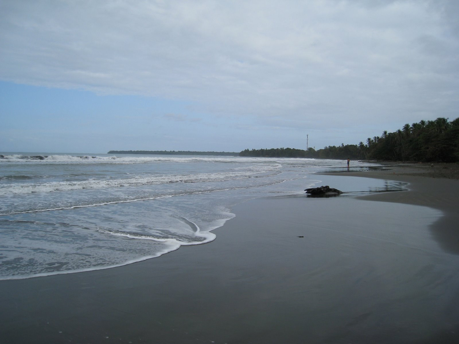 Кауита, Лимон провинция, Коста-Рика, фото № 40065 – фотографии Коста-Рики