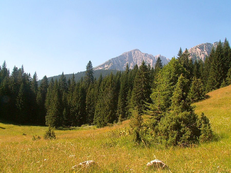 Дурмитор Национальный Парк, Черногория, фото № 53478 – фотографии Черногории