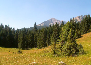 Дурмитор Национальный Парк, Черногория, фото № 53478 – фотографии Черногории