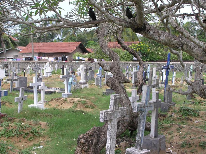 Негомбо, Шри-Ланка, фото № 51892 – фотографии Шри-Ланки