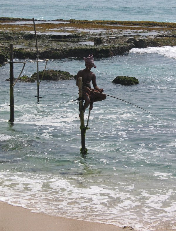 Коггала, Шри-Ланка, фото № 51592 – фотографии Шри-Ланки