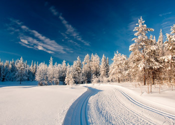 Рука, Финляндия, фото № 74985 – фотографии Финляндии