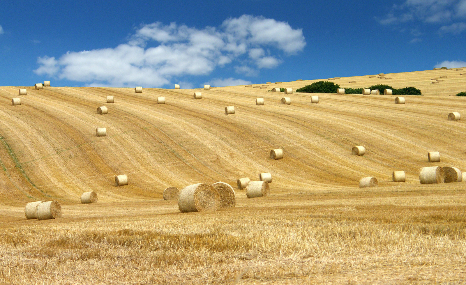 Путешествуем по Голландии. Фото 5 – фотографии Нидерландов