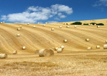 Путешествуем по Голландии. Фото 5 – фотографии Нидерландов