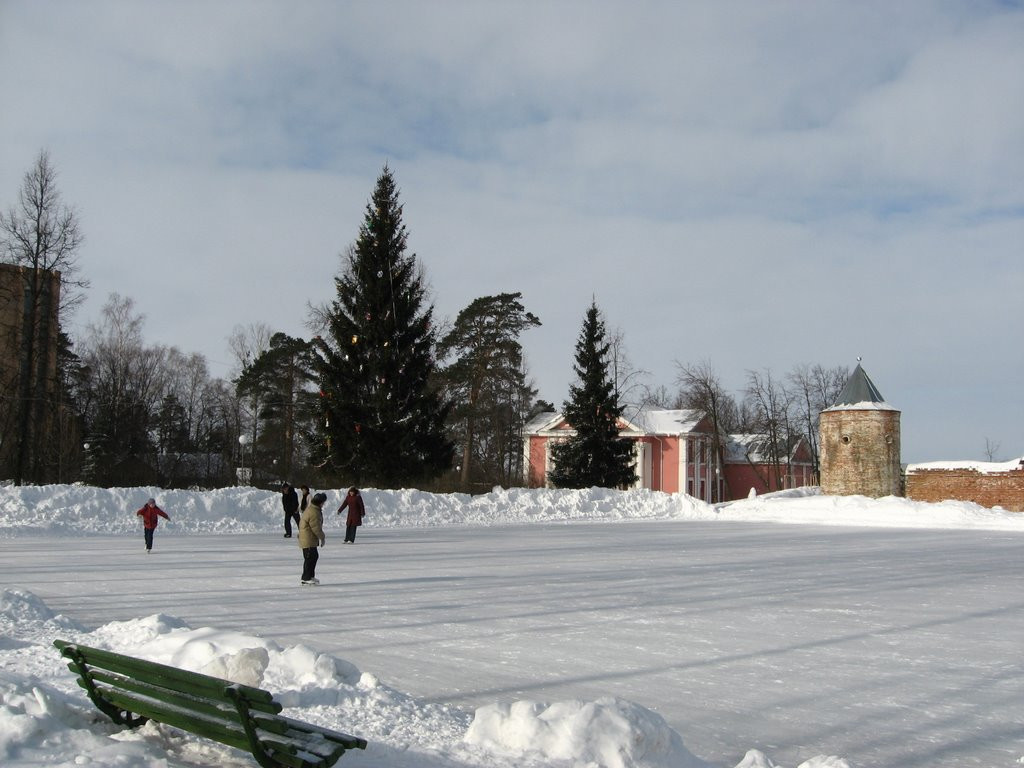 Каток в Рязани, Россия – фотографии России