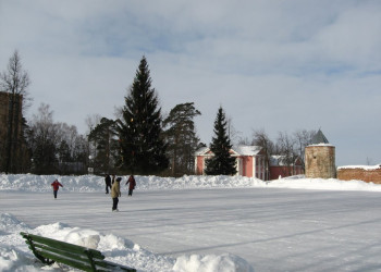 Каток в Рязани, Россия – фотографии России
